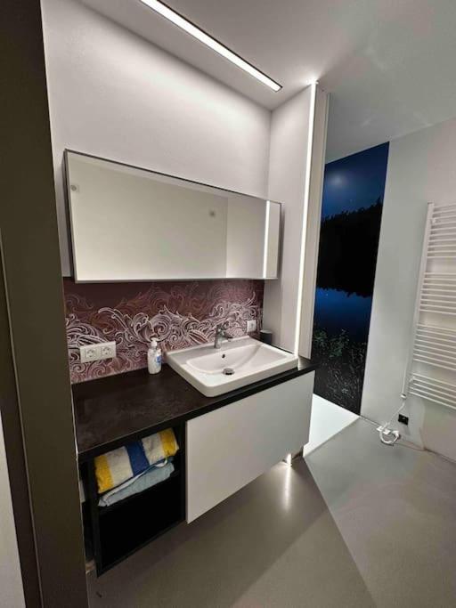 Wohnung 55M2 Top Ausstattung Haag am Hausruck Dış mekan fotoğraf